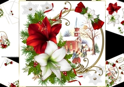 8x8 Christmas church with Amaryllis mini kit 