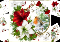 8x8 Christmas Robin with amaryllis mini kit 1