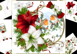 8x8 Christmas Robin with amaryllis mini kit 2