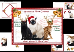 We wish you a merry Christmas from the cats mini kit