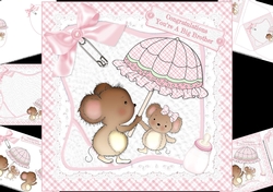 8x8 A new big brother baby girl mini kit