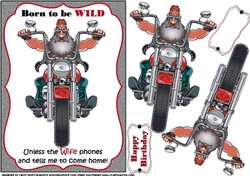 Born to be wild.. Unless the wife calls