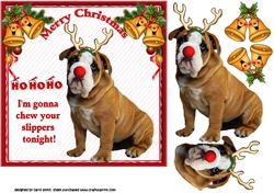 7x7 Reindeer bulldog