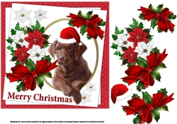 7x7 Chocolate Lab Christmas wishes