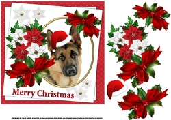 7x7 Germen Shepherd Christmas wishes