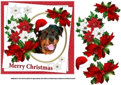 7x7 Rottweiler Christmas wishes