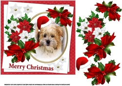 7x7 Terrier Christmas wishes
