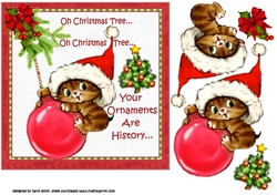 7x7 Kitten fun at Christmas 