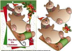 Woo Hoo Christmas bear