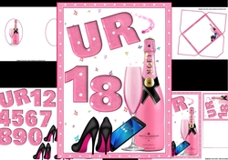 UR 18 or any age pink champagne mini kit