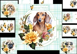 7x7 special puppy wishes 5 choice of 4 toppers mini kit