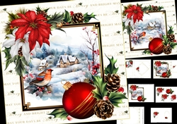 8x8 Snowy house with Robin scene choice of two mini kit
