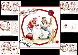 6x6 Golden oldies cricket mini kit choice of four