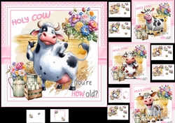 7x7 Holy cow female choice of four mini kit