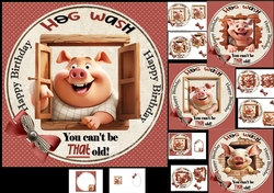 7x7 Hog wash birthday wishes choice of four mini kit