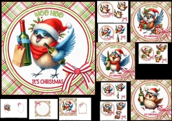 6x6 Christmas birds of joy choice of four mini kit