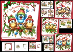 6x6 Christmas birds of joy choice of four mini kit 2
