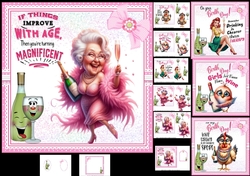 7x7 Fun birthday quotes for the ladies choice of four mini kit
