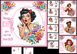 7x7 Sarcastic birthday wishes choice of four mini kit