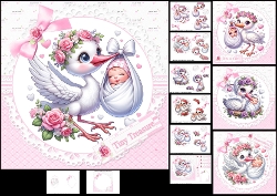 7x7 Stork delivery baby girl choice of four mini kit