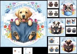 Image of cup457642_1209 - 7x7 A pocket full of birthday wishes choice of four mini kit