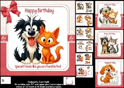 7x7 Special friend birthday choice of four mini kit