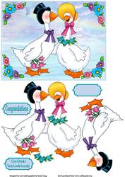 Coo Ducks You Look Lovely