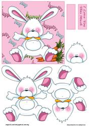 Bunny Love