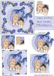 Kittens and Roses Double Choice