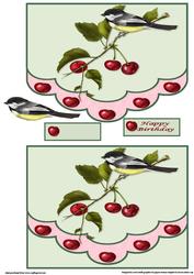Bird with Cherries