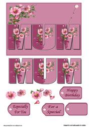 A Special Mum