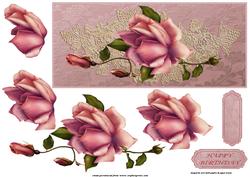 Antique Lace and Rose