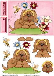 Cute Puppy