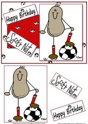 Happy Birthday Soccer Nut Quick Card