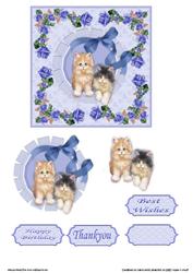 Oh How Cute Kittens