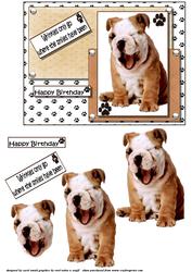 Wrinkles and Smiles Birthday Decoupage