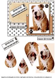 Wrinkles and Smiles Birthday Teardrop Pyramid