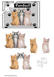 Purrfect Kittens