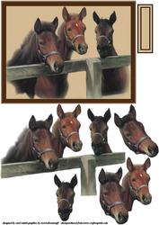 Three Horses at the Fence