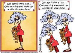 Stella Says Old Age is Like a Cat