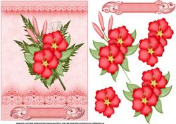The Red Hibiscus