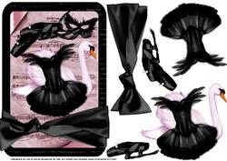 The Black Swan Ballet
