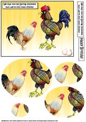The Spring Chickens Humourous Oval Pyramid