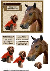 Unusual Friends the Dog and the Horse