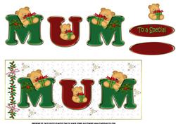 Christmas for a Special Mum