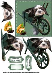 The Shitzu Wants to Help Garden