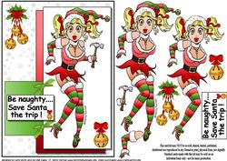 The Sexy Christmas Elf