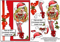 Xmas Hottie Hopes Your Dreams Come True