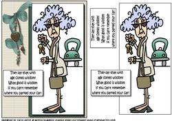 Stella What Good is Wisdom Quick Card