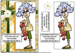 Stella's Cat Ate the Present! Quick Card